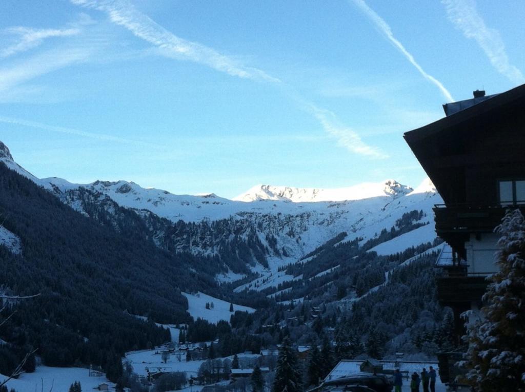 Ski In-Ski Out - Gaestehaeuser Saalbach-Hinterglemm - Wallegghof Christianhof 外观 照片