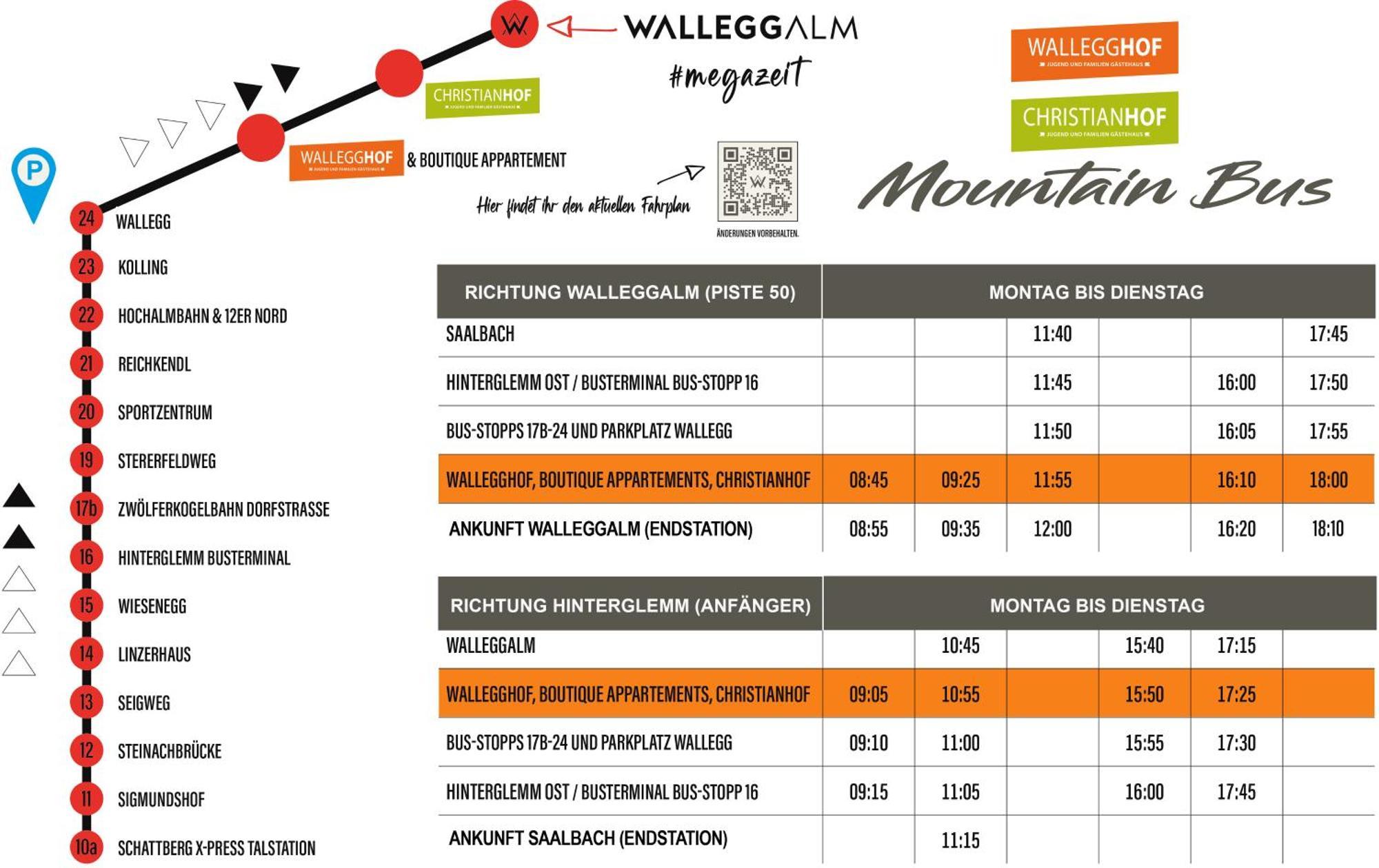 Ski In-Ski Out - Gaestehaeuser Saalbach-Hinterglemm - Wallegghof Christianhof 外观 照片