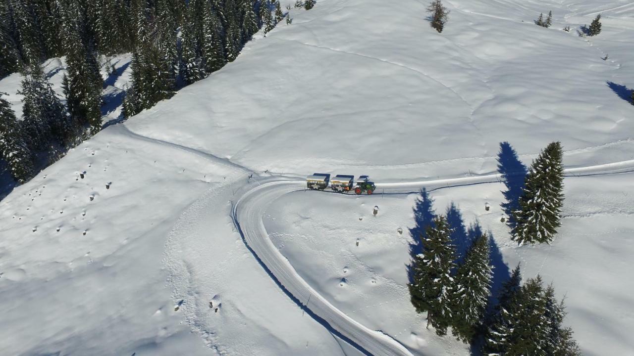 Ski In-Ski Out - Gaestehaeuser Saalbach-Hinterglemm - Wallegghof Christianhof 外观 照片