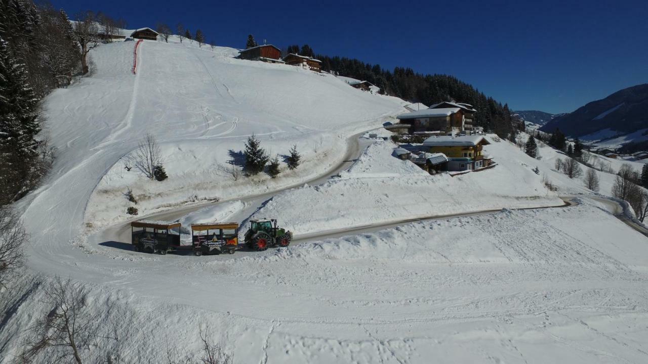 Ski In-Ski Out - Gaestehaeuser Saalbach-Hinterglemm - Wallegghof Christianhof 外观 照片